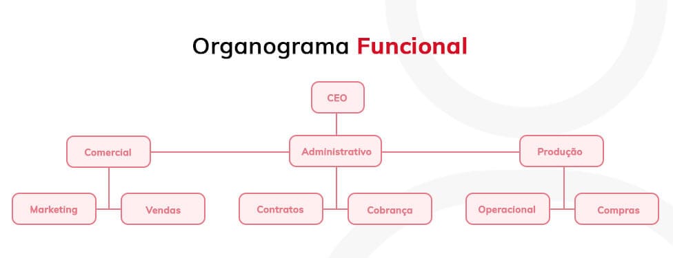 Organograma Funcional