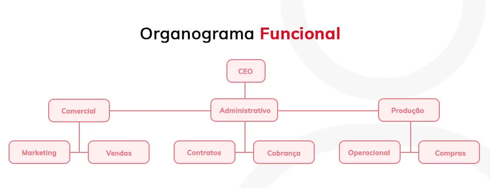 Organograma Funcional
