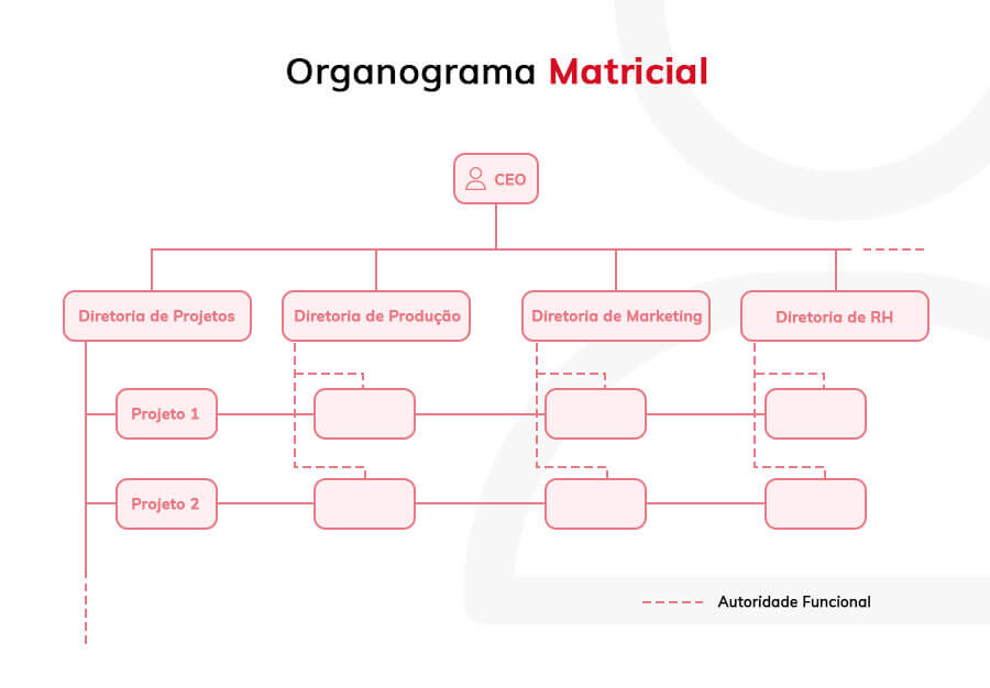 Organograma Matricial