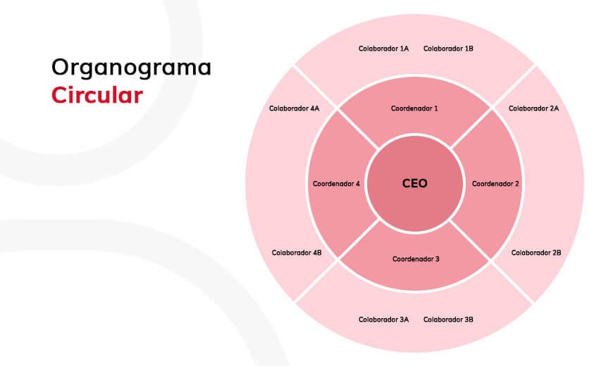 Organograma Circular