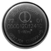 iButton